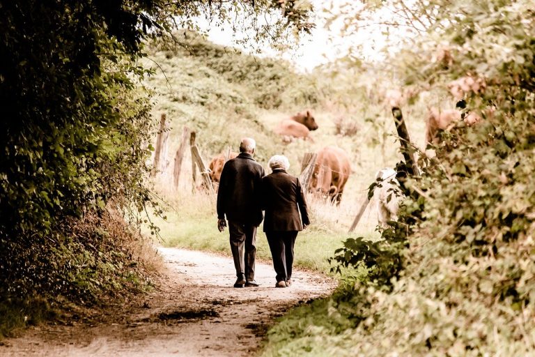 Couple de retraités marchant sur un sentier ensoleillé en pleine nature
