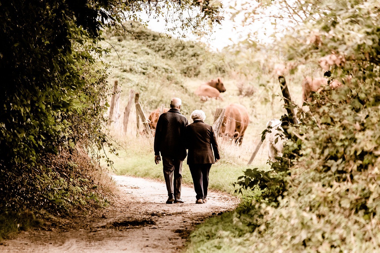 Couple de retraités marchant sur un sentier ensoleillé en pleine nature